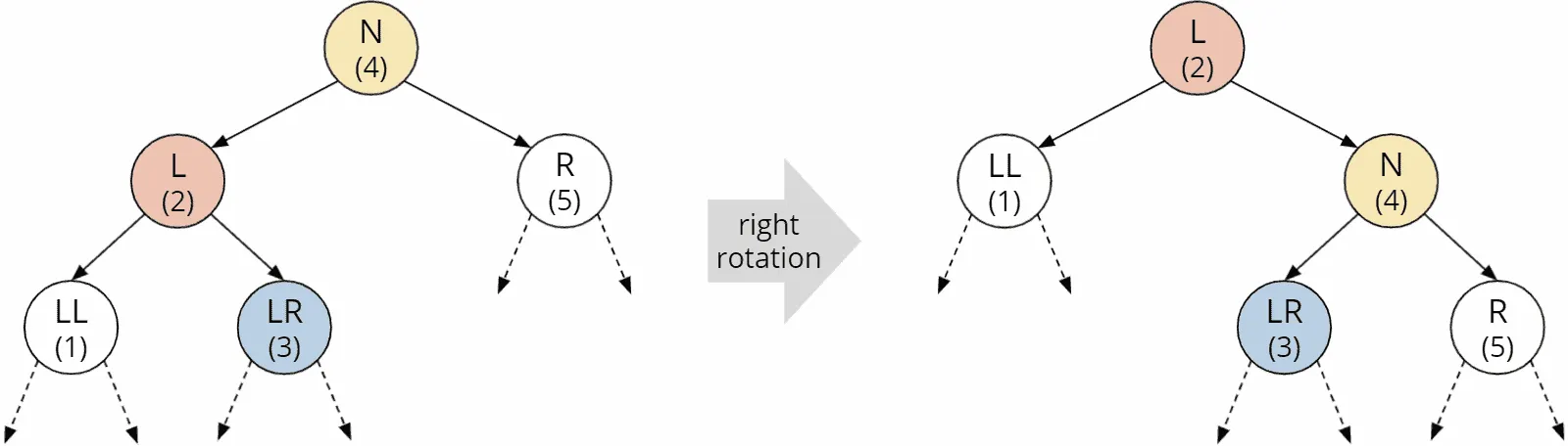 Right rotation in the AVL tree