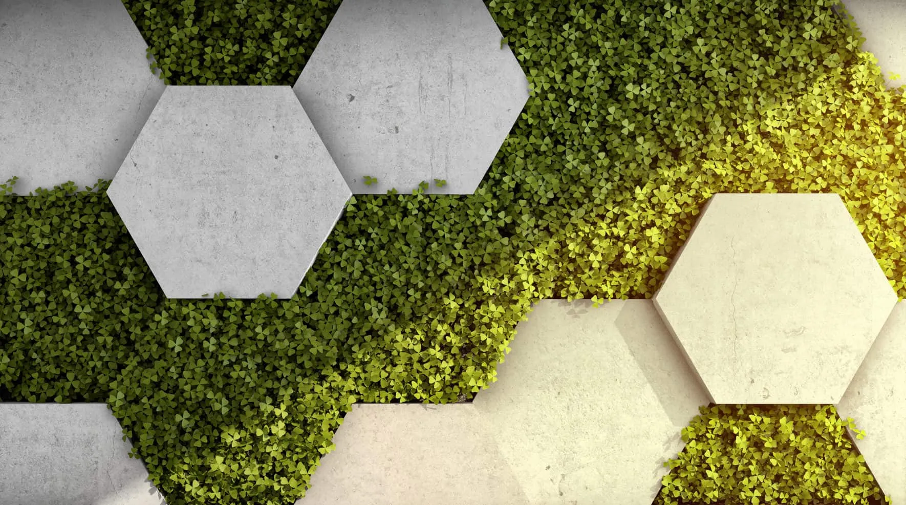 Hexagonal concrete and moss tiles joined into a wall