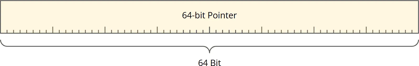 64-bit pointer