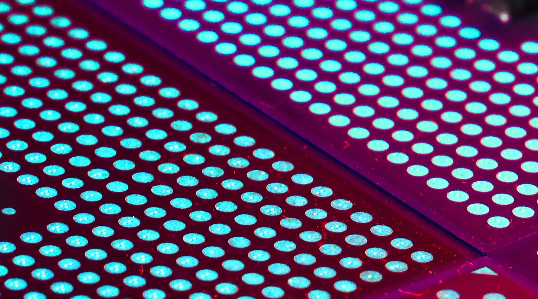 Grid of glowing cyan contact pads on the underside of a CPU on a magenta background, divided by a diagonal seam