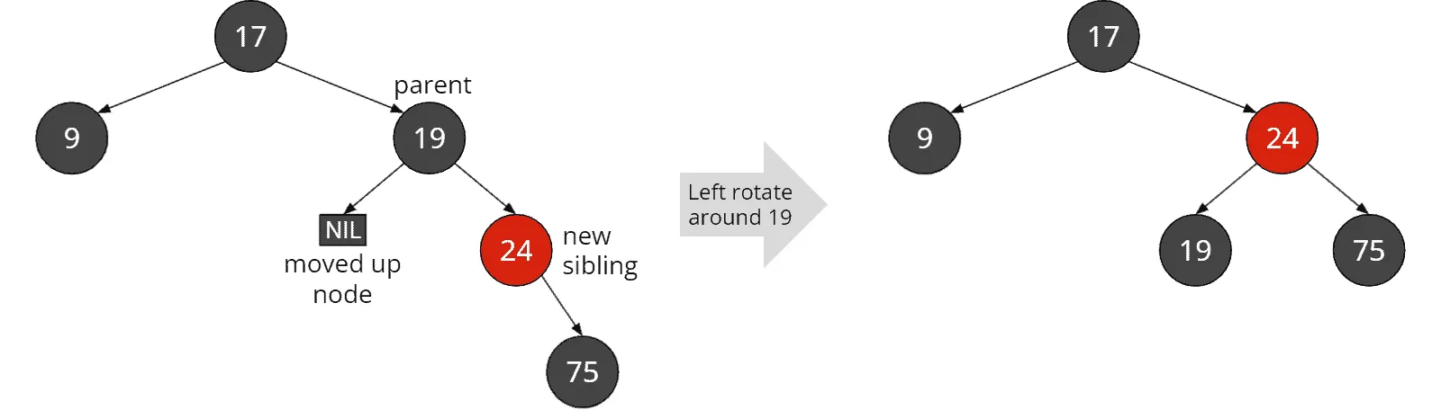 Red-black tree deletion: Black sibling with at least one red child and black “outer nephew”: Rotation around the
parent