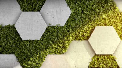 hexagonal architecture spring boot