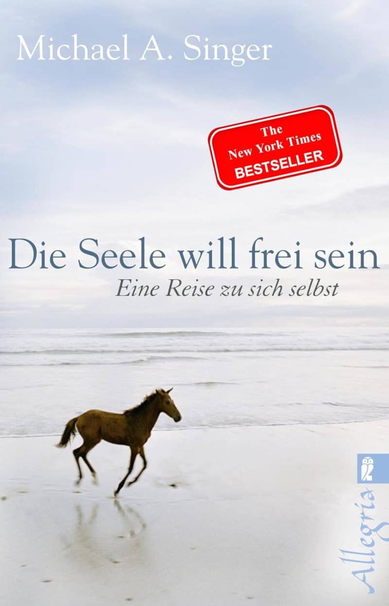 Die Seele will frei sein: Eine Reise zu sich selbst - Michael A. Singer