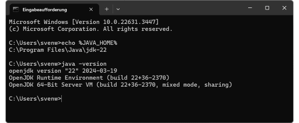 Check your Java version with "cmd"