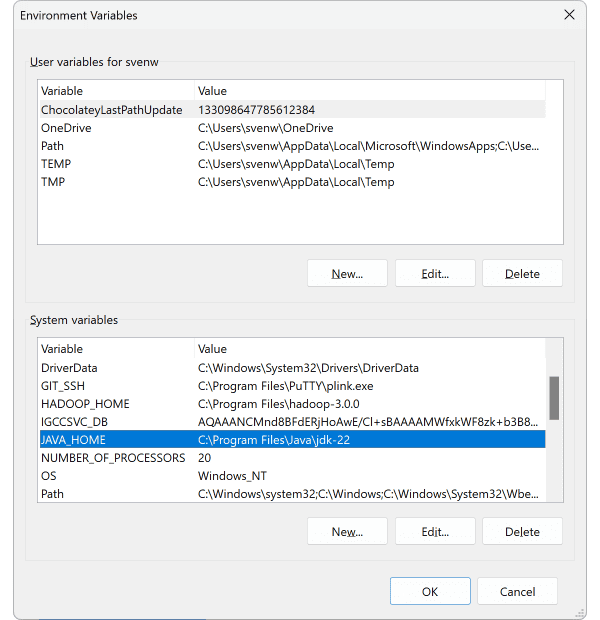 Windows environment variables Java 22